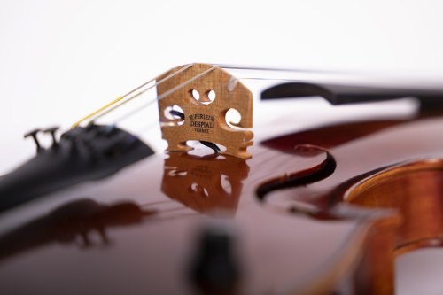Barcus Berry BB100-EL Legendary Series Acoustic Electric Violin
