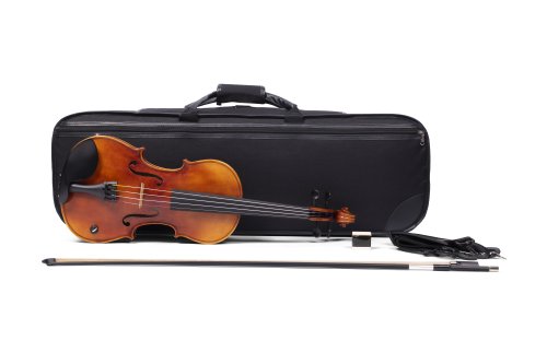 Barcus Berry BB100-EL Legendary Series Acoustic Electric Violin