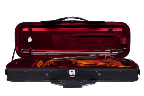 Barcus Berry BB100-EL Legendary Series Acoustic Electric Violin