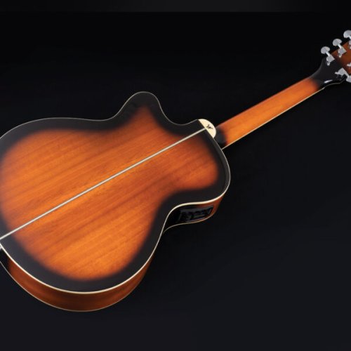 Washburn EA15 Festival Series Mini Jumbo Cutaway Acoustic Electric Guitar. Tobacco Burst