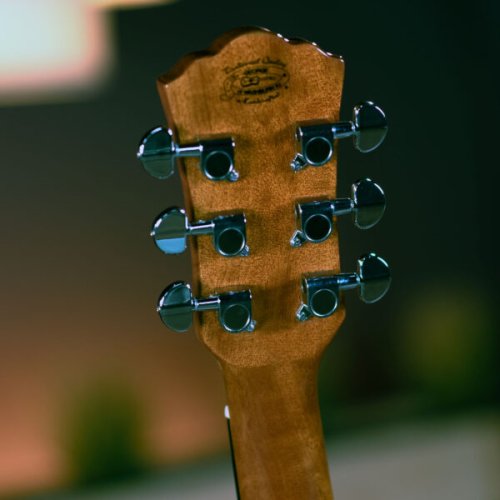 Washburn F5 Apprentice Series Folk Acoustic Guitar