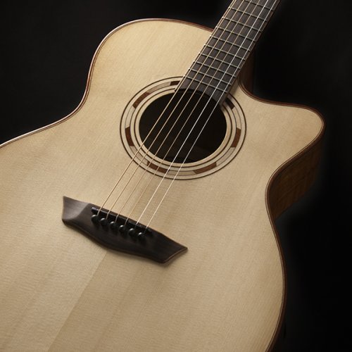 Washburn G66SCE Comfort Deluxe 66 Auditorium Cutaway Acoustic Electic Guitar. Spalted Maple