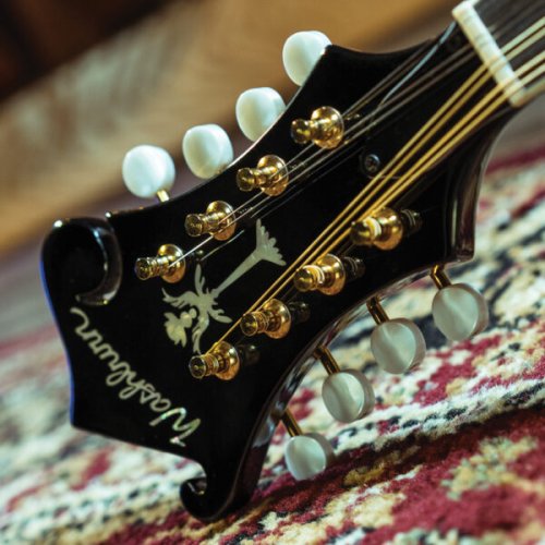 Washburn M1SD Americana Series A-Style Mandolin. Black