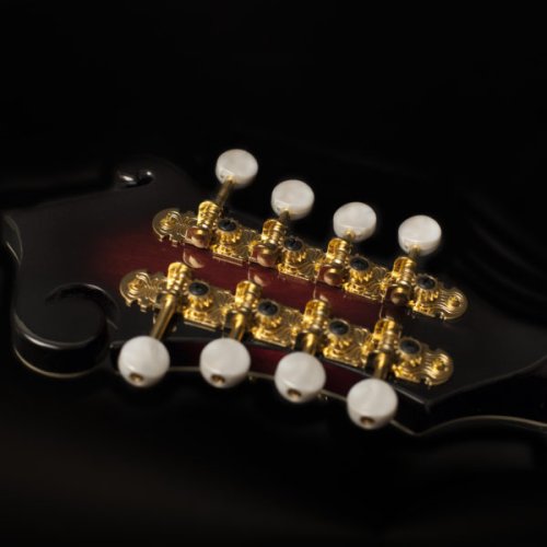 Washburn M3SWE Americana Series F-Style Mandolin with Electronics. Trans Wine Red