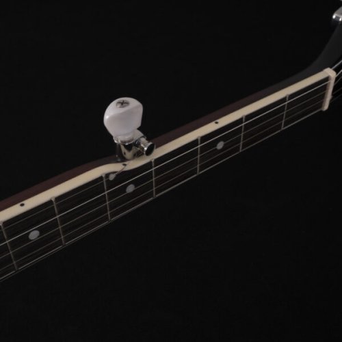 Washburn B7 Americana Series (5 String) Open Back Banjo