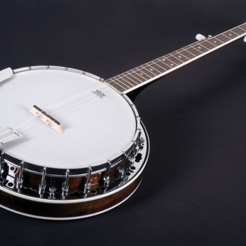 Washburn B11 Americana Series (5 String) Banjo. Natural