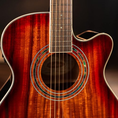 Washburn EA55G-A Festival Series Cutaway Acoustic/Electric Guitar. Koa Burst