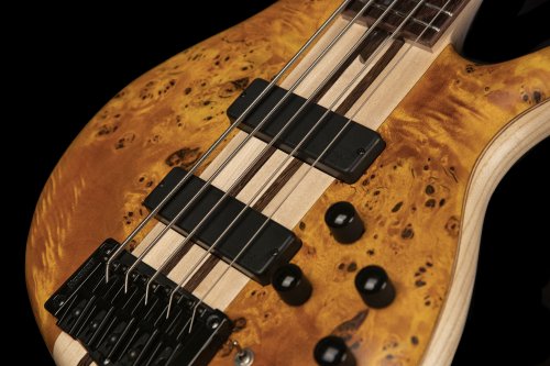 Cort A5PLUSSCAOP Artisan Series A5 Plus SC Bass Guitar. Amber Open Pore