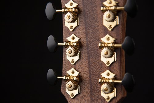 Cort GOLDEDGENT Gold Series Acoustic Electric Guitar. Natural Gloss