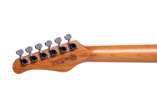 Washburn Sonamaster Elite Double Cutaway Electric Guitar. Flame Blue Burst