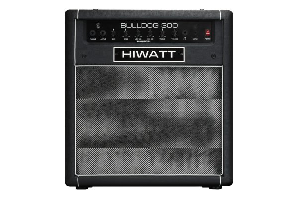 Hiwatt Bulldog 300 Combo 300W Bass Combo