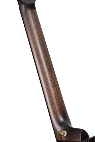 Cort Gold MC6 Ovangkol Acoustic-Electric Guitar w/Premium Gig-bag. Natural Gloss