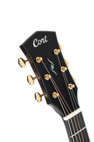 Cort Gold MC6 Ovangkol Acoustic-Electric Guitar w/Premium Gig-bag. Natural Gloss