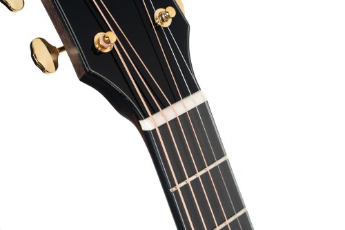 Cort Gold MC6 Ovangkol Acoustic-Electric Guitar w/Premium Gig-bag. Natural Gloss