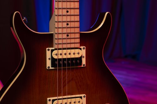 Washburn R5TS Wing Series Raven Electric Guitar. Tobacco Sunburst