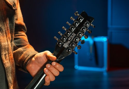 Washburn H12TB Wing Series Hawk 12-String Electric Guitar. Trans Black
