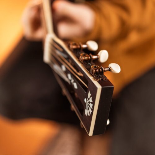 Washburn R310K Victorian Series Parlor Acoustic Guitar