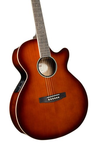 Cort Exotic Series SFX Myrtle Acoustic Electric Guitar. Sunburst Finish