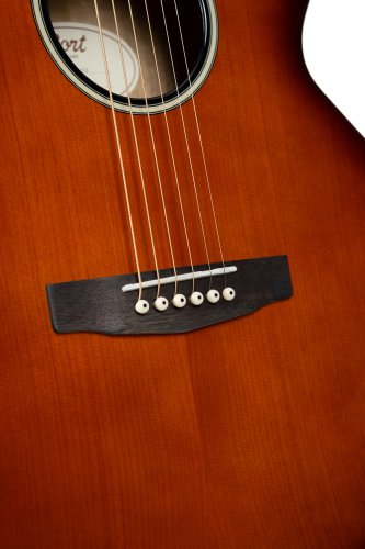 Cort Exotic Series SFX Myrtle Acoustic Electric Guitar. Sunburst Finish
