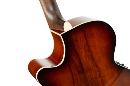 Cort Exotic Series SFX Myrtle Acoustic Electric Guitar. Sunburst Finish