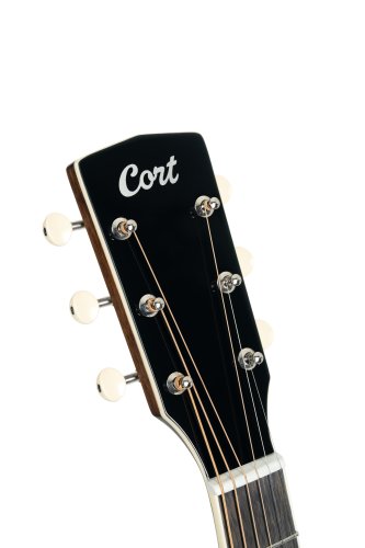 Cort Exotic Series SFX Myrtle Acoustic Electric Guitar. Sunburst Finish