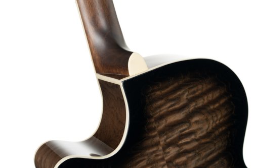 Cort Exotic Series SFX Ash Acoustic Electric Guitar. Black Finish
