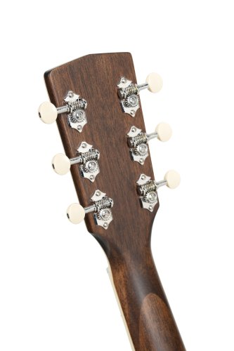 Cort Exotic Series SFX Ash Acoustic Electric Guitar. Black Finish