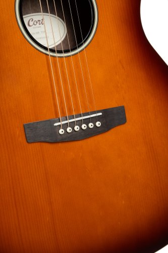 Cort Exotic Series GA Walnut Acoustic Electric Guitar. Sunburst Finish