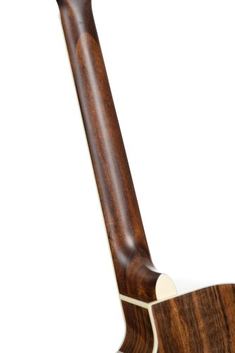 Cort Exotic Series GA Walnut Acoustic Electric Guitar. Sunburst Finish
