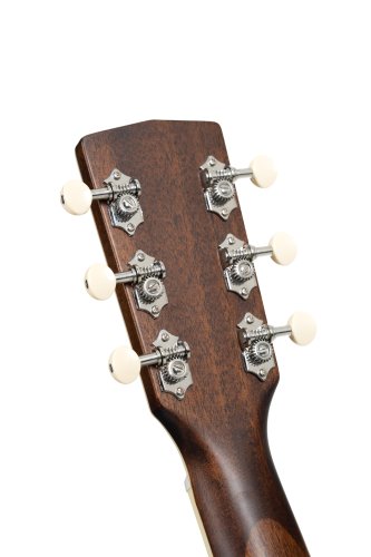 Cort Exotic Series GA Walnut Acoustic Electric Guitar. Sunburst Finish