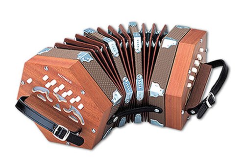 Hohner D40 Concertina