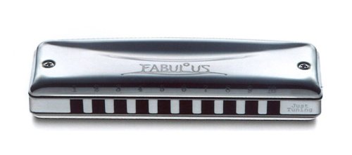 Suzuki F-20J-D Fabulous 10-Hole Diatonic Just Temperament Harmonica. Key of D