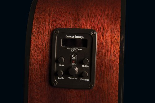 Jasmine JD39CE-NAT Dreadnought Acoustic Electric Guitar. Natural Finish