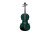 Barcus Berry BAR-AEG Vibrato AE Series Acoustic-Electric Violin. Metallic Green