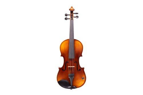 Barcus Berry BAR-AEV Vibrato AE Series Acoustic-Electric Violin. Natural