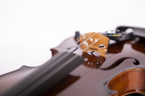 Barcus Berry BAR-AEV Vibrato AE Series Acoustic-Electric Violin. Natural