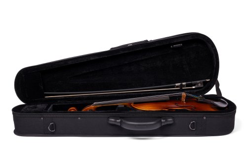 Barcus Berry BAR-AEV Vibrato AE Series Acoustic-Electric Violin. Natural