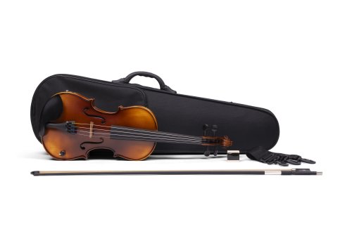 Barcus Berry BAR-AEV Vibrato AE Series Acoustic-Electric Violin. Natural